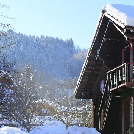 Grand C N°215 - 2p4 * Morillon